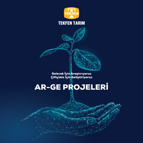 arge projeleri