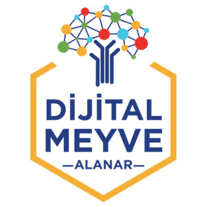 dijital meyve