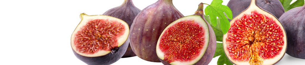 Bursa Black Fig