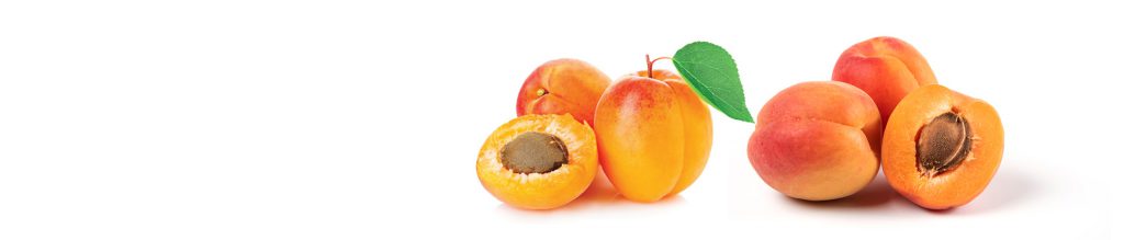 Apricot