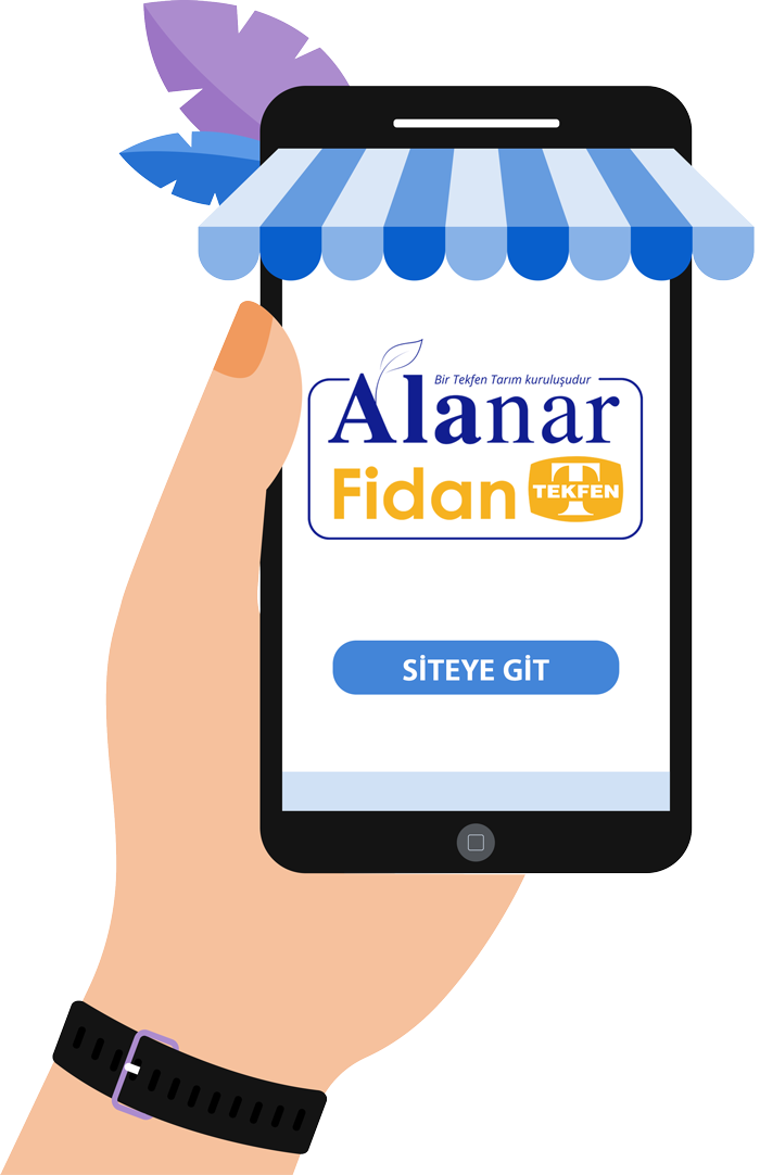 mobil alanarfidan